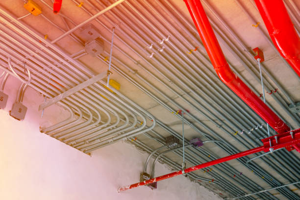 istockphoto 1162697541 612x612